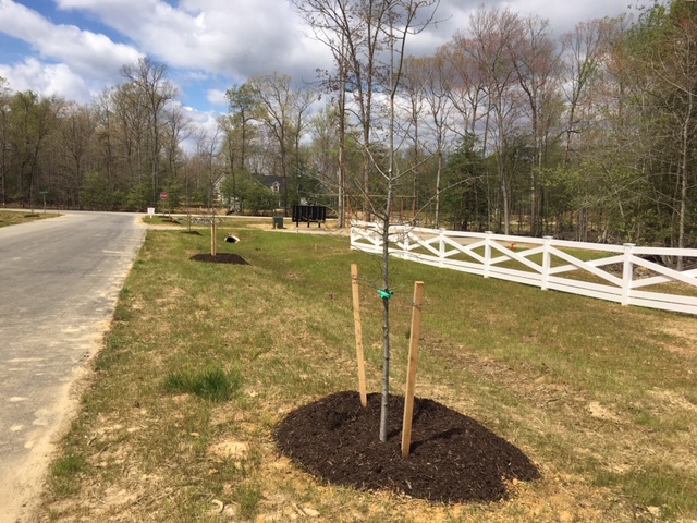new homes for sale la plata md