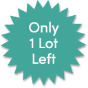 only 1 lot left
