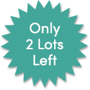 Only 2 Lots Left