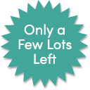 only a few lots left